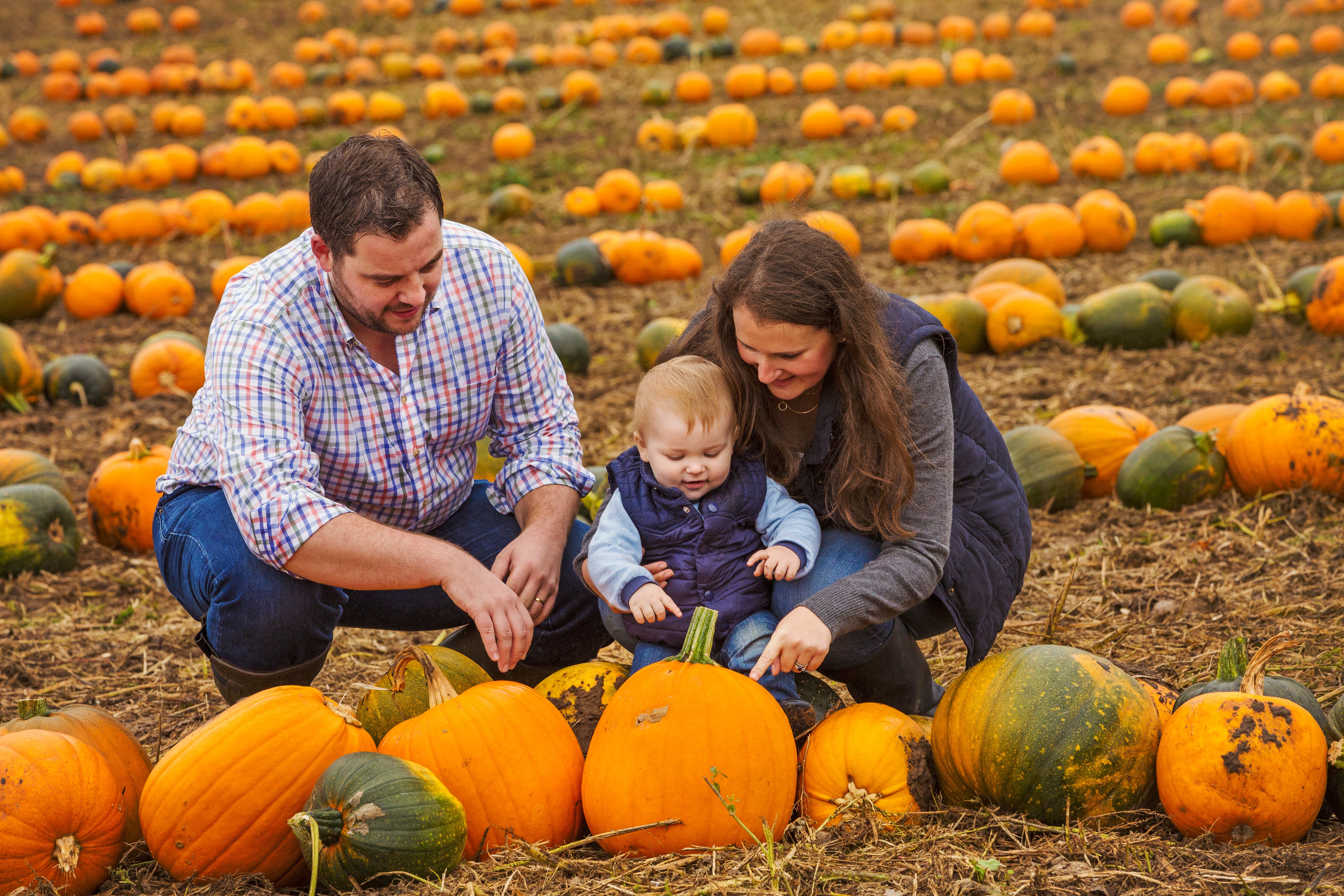 Family Enjoying Time Together at the Pumpkin Patch